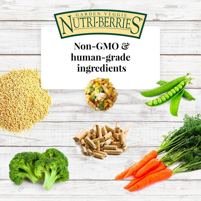 Lafeber Company Garden Veggie Nutri-Berries Parrot Food with Carrots, Peas, and Broccoli - 3 lb - Image 4